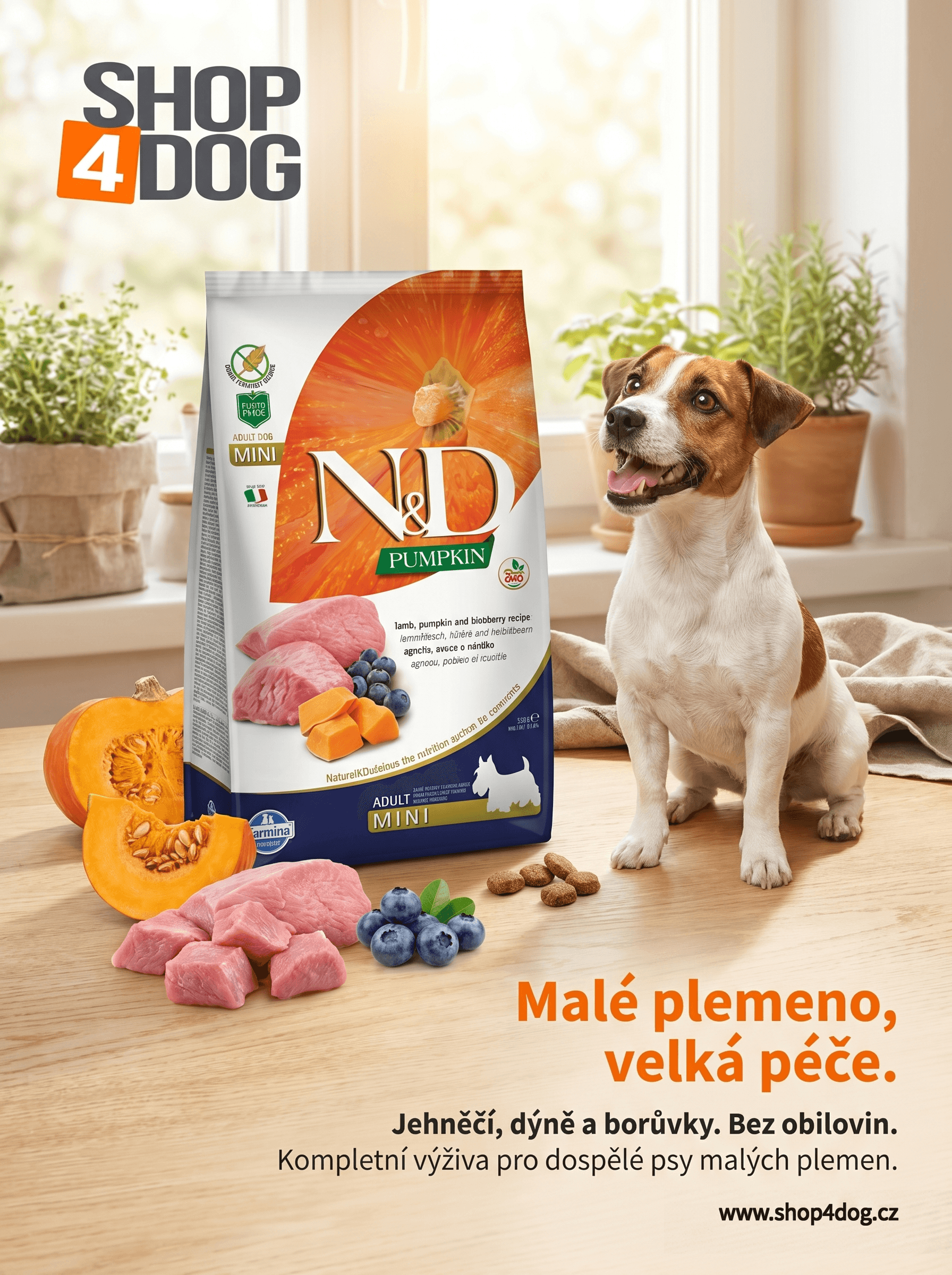 Shop4dog