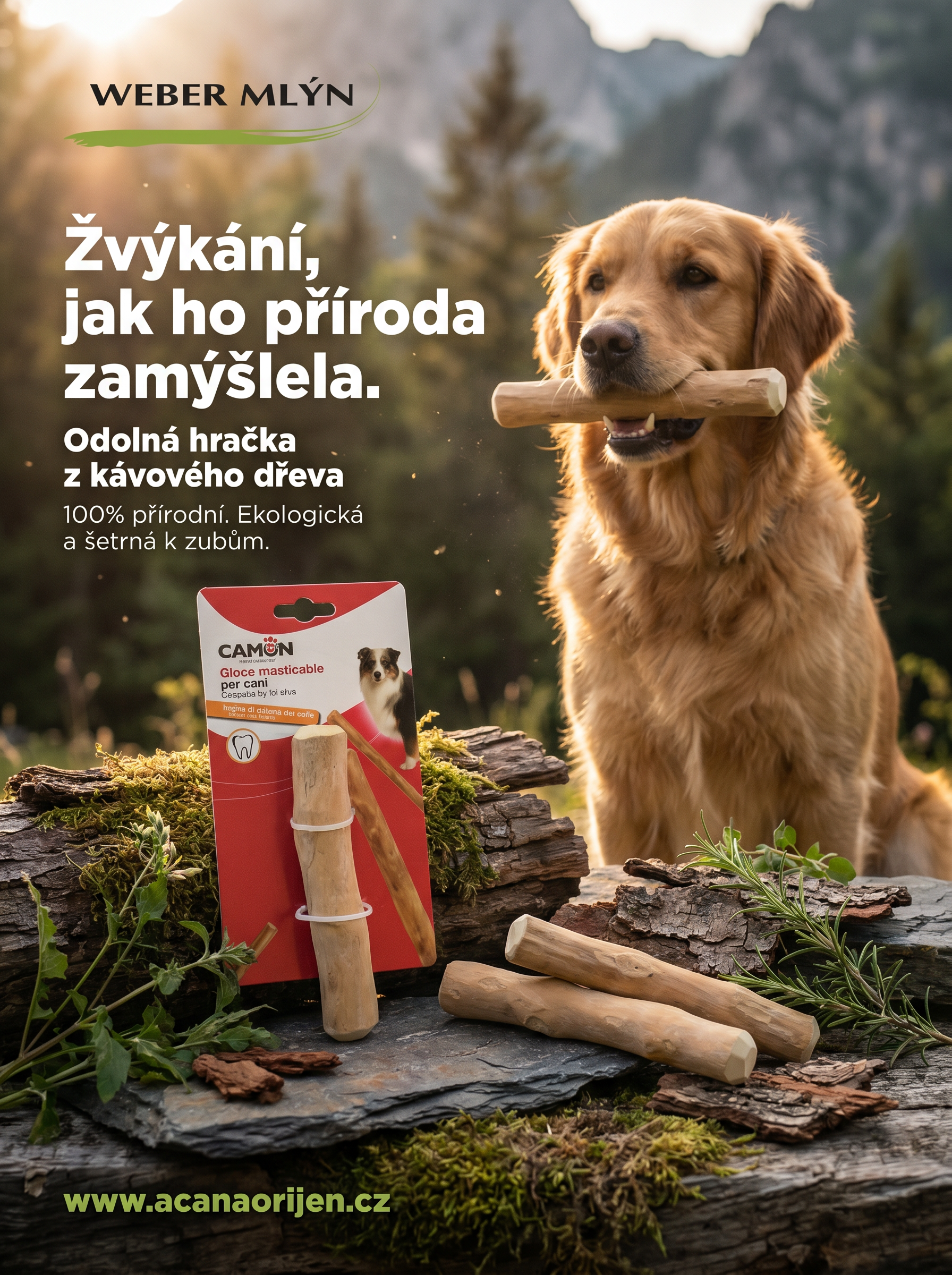 Ukázka banneru